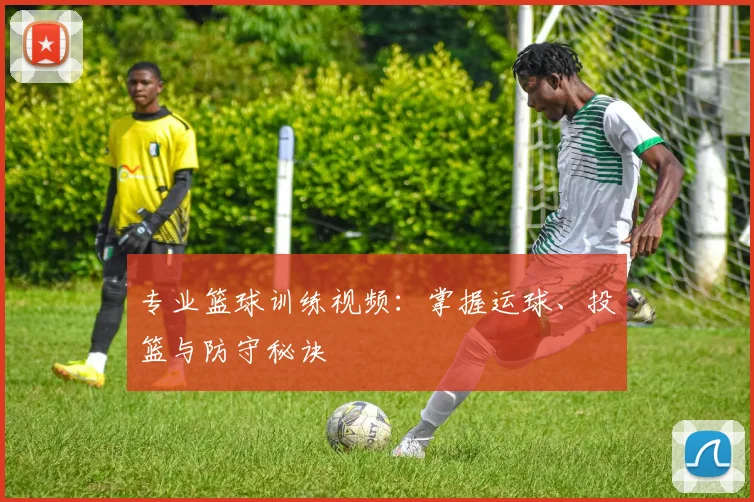 专业篮球训练视频：掌握运球、投篮与防守秘诀