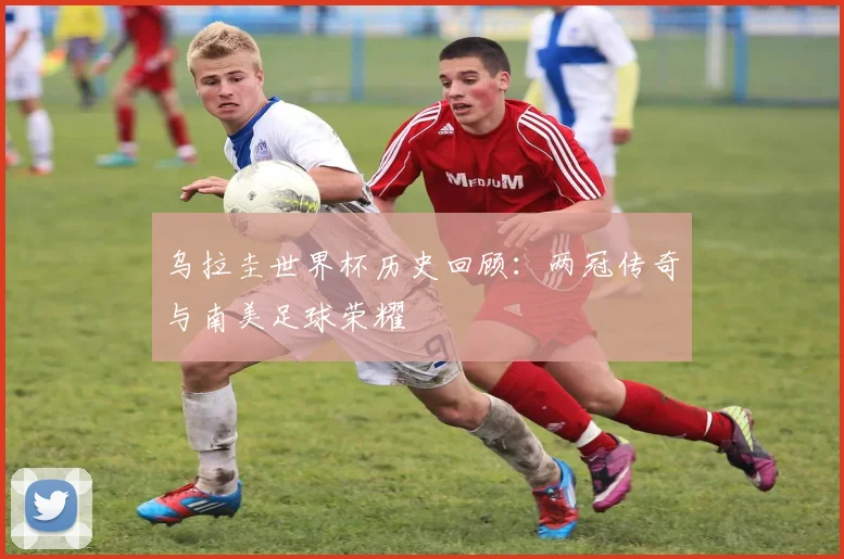 乌拉圭世界杯历史回顾：两冠传奇与南美足球荣耀